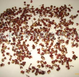 干花椒勞務(wù)服務(wù) 農(nóng)業(yè)產(chǎn)業(yè)鏈中的專業(yè)勞動力支持