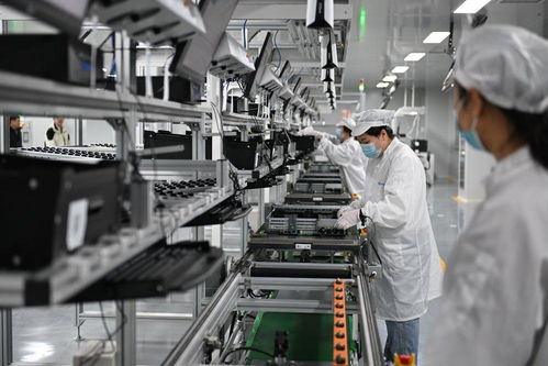 雄安新區(qū) 未來(lái)之城展新姿，綠化服務(wù)鑄就生態(tài)典范